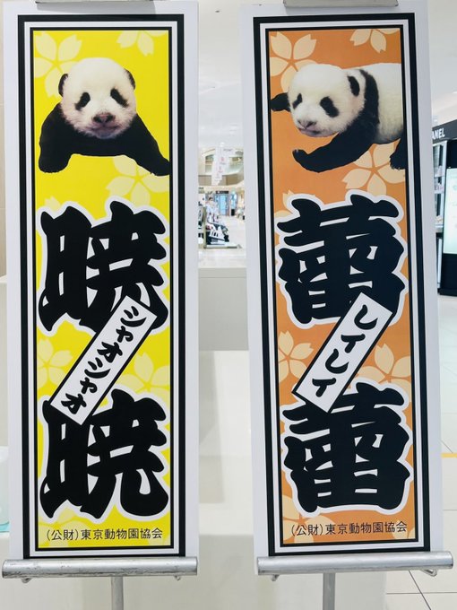 A List Of Tweets Where 月亭ペン太 ほのぼのパンダ Was Sent As パンダ 3 Whotwi Graphical Twitter Analysis