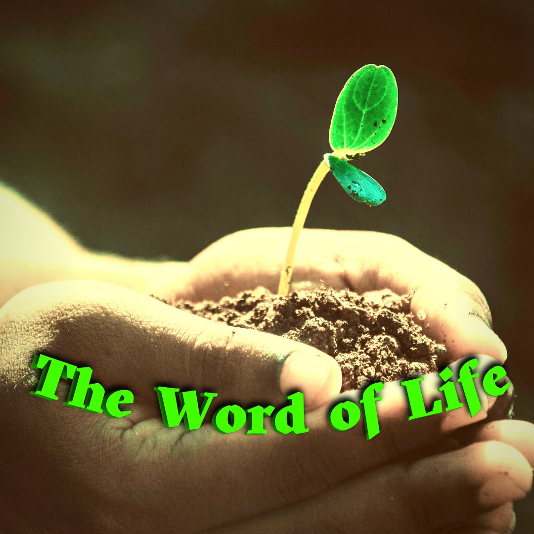 This Sunday
What does it mean to be an authentic saint of God? What is the difference? What does that look like to a hurting world? John lays out what a real saint of God is. We will explore how to incorporate these traits into our lives.
