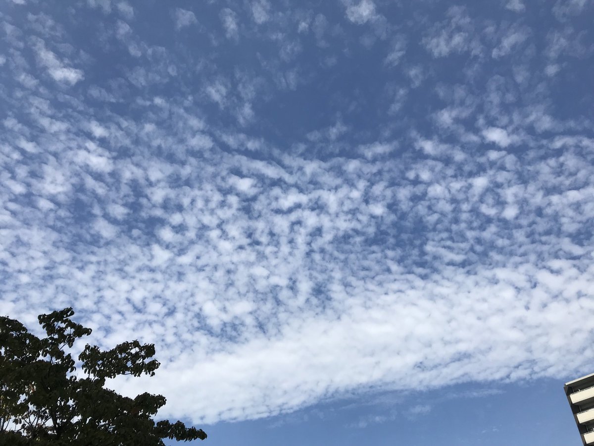 おはようございます。今朝の名古屋は、綺麗な鱗雲が広がってます。でもまだ残暑が厳しそうです。ヤスイ質店、今日も元気に営業しています！
yasui78.com