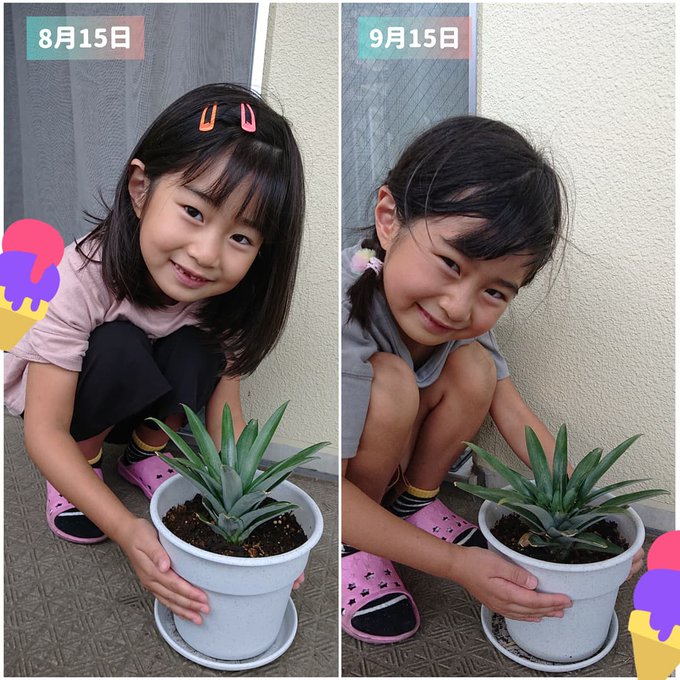 杉山穂乃果のTwitter画像11