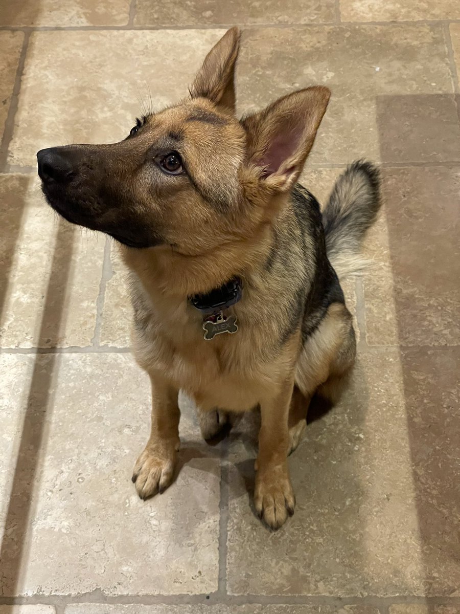 Steven Miller tweet media