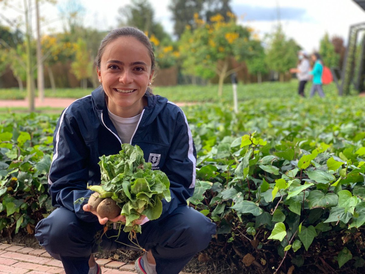BienestarSabana's tweet photo. Nuestra huerta solidaria ha dado los primeros frutos🥕🥬 Nuestros voluntarios, de diferentes programas y semestres han trabajado por más de 5 meses para crear la primera huerta en @unisabana, la cual busca poder ayudar en la alimentación de familias vulnerables en la zona. https://t.co/v7QlbmIyc1