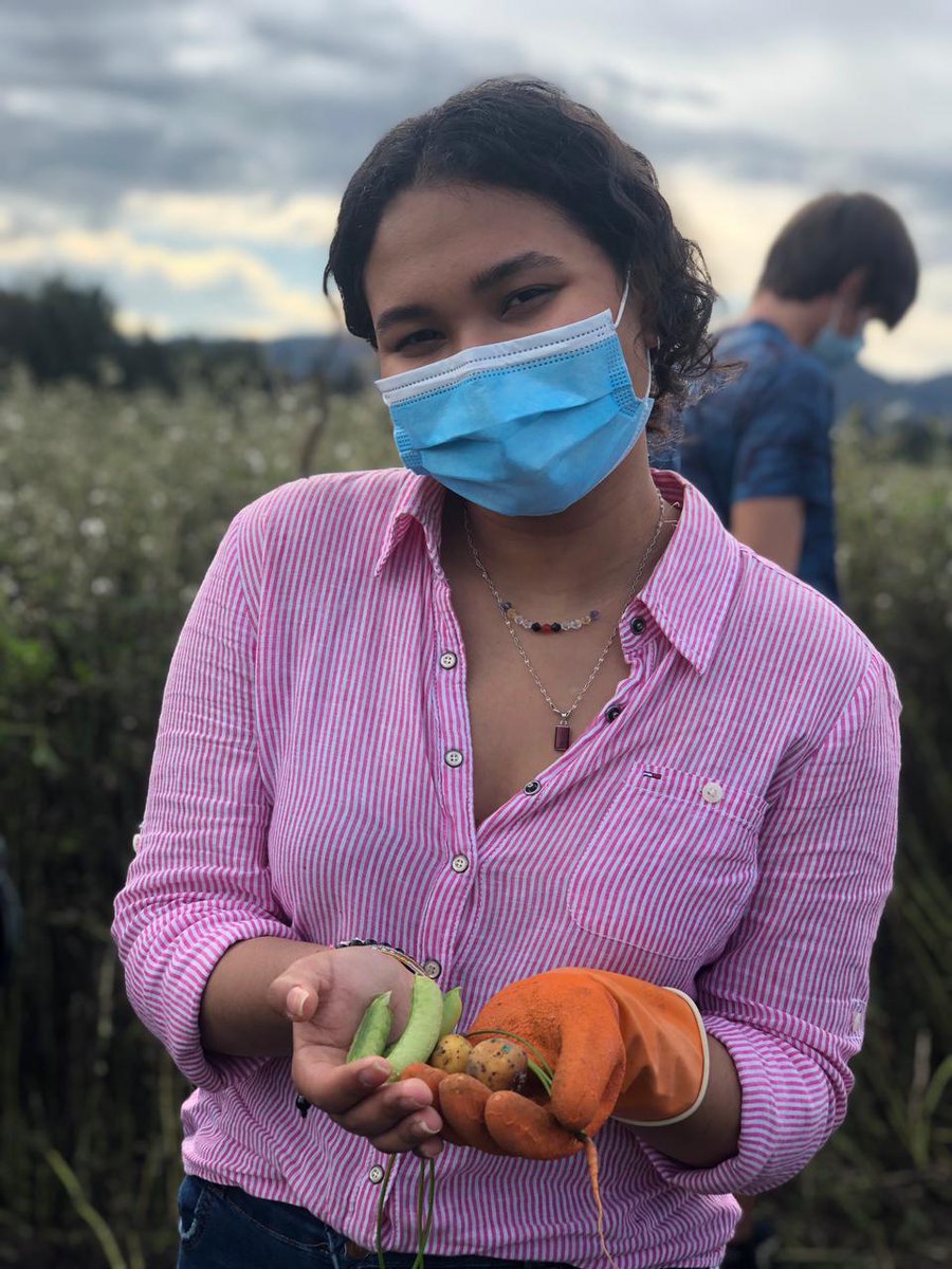 BienestarSabana's tweet photo. Nuestra huerta solidaria ha dado los primeros frutos🥕🥬 Nuestros voluntarios, de diferentes programas y semestres han trabajado por más de 5 meses para crear la primera huerta en @unisabana, la cual busca poder ayudar en la alimentación de familias vulnerables en la zona. https://t.co/v7QlbmIyc1