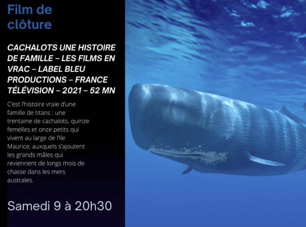 frlaborde's tweet photo. [FIPIM] Retour en images, sur la soirée d'ouverture du Festival international des Pertuis et des Îles qui s'est déroulée à #portDesBarques à l’embouchure de la #Charente . 
Le film d'ouverture “Sur la Banquise, Une reine sans Royaume” https://t.co/DTJLAhpTAt