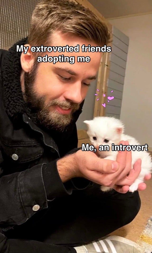 WholesomeMemes (@wholesomememe) on Twitter photo 