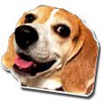 HesRetnu's tweet photo. We are live on https://t.co/9OQiATJoRq
and also two subs away from unlocking a third #subemote
#twitchaffilliate #TwitchStreamers #SupportSmallStreams #twitchstreamer #twitchtv #twitchemotes #GraphicDesigner #beagle #aftereffects #adobe #pixelart #TwitchEmoteArtist #letsgo https://t.co/UYwzVOP3Pd