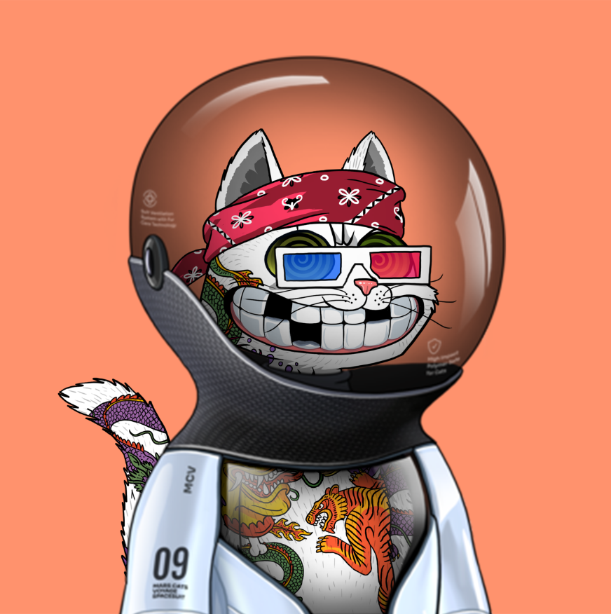 FTactiks's tweet photo. Don't mind me, just trying on different space suits in prep for the launch to Mars . Hurry and get your cat and space pack before they are all gone. #wenmars #readyforlaunch @marscatsvoyage #spacepack https://t.co/HFzwdU4hgO
