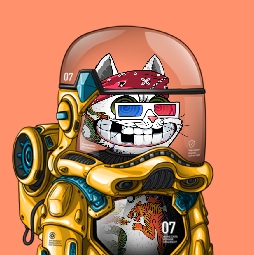 FTactiks's tweet photo. Don't mind me, just trying on different space suits in prep for the launch to Mars . Hurry and get your cat and space pack before they are all gone. #wenmars #readyforlaunch @marscatsvoyage #spacepack https://t.co/HFzwdU4hgO