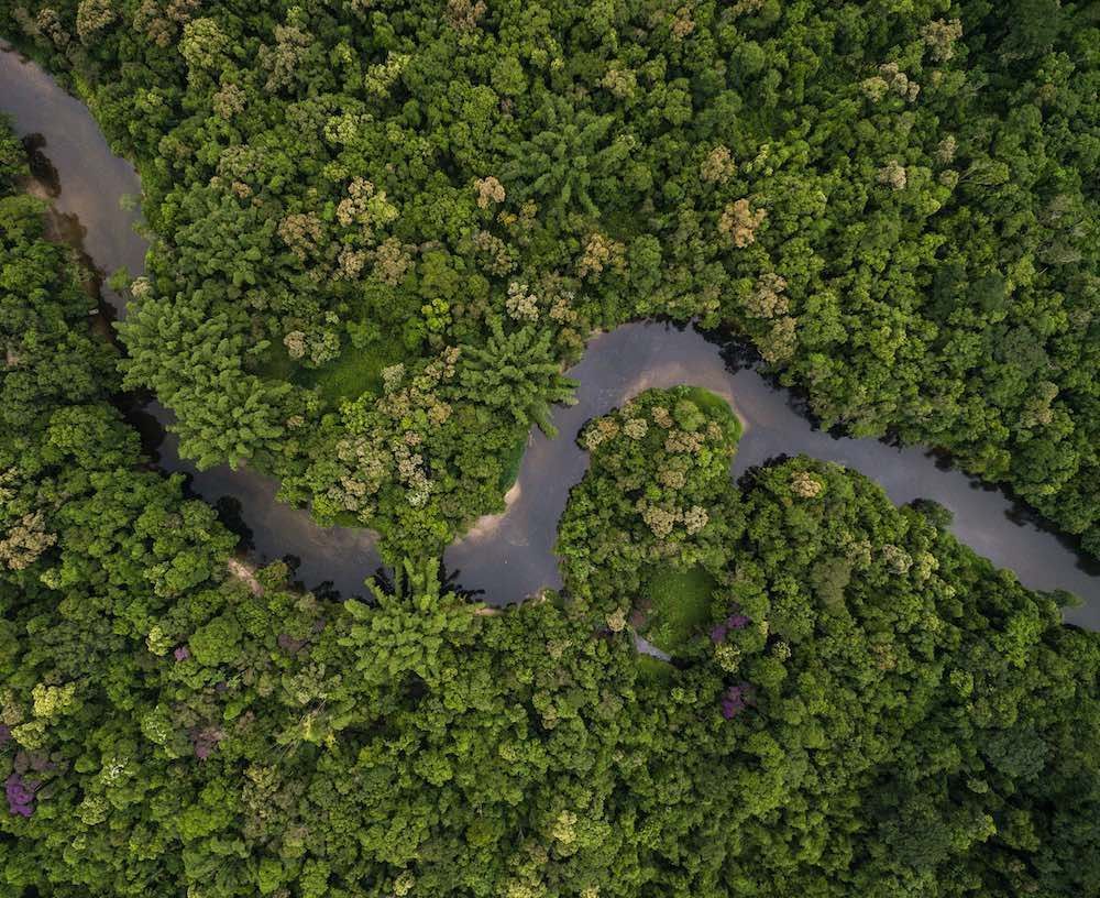 Ecogranjero's tweet photo. La reforestación tropical más grande de la historia donde se plantarán 73 millones de árboles https://t.co/5rNWRA6Y5T https://t.co/8rNGmcxQGC