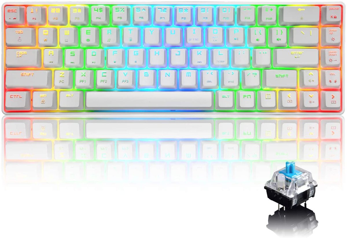 Manbasnake__Q's tweet image. ﹡click﹡ ﹡click﹡

What is that sweet clicking we hear?😉😉😉
 Clik to buy :👉manba-snake.com👈

#keybard #keyboards #mouse #Keyboard #RGBkeyboard #mechanicalkeyboard  #mechkeyboard #customkeyboard #customkeycaps #gamingkeyboard #gamingcommunity #gamingsetup #pcgaming