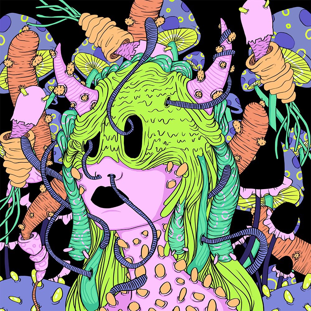 Aoife O’Dwyer tweet media