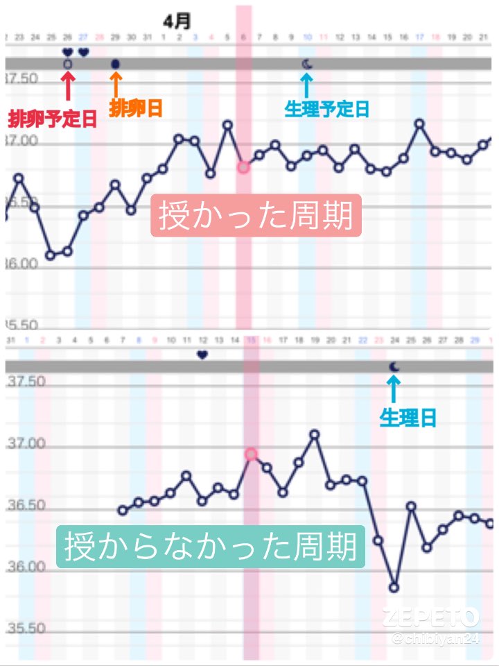 Tamagoyan Tamagoyan2 Twitter