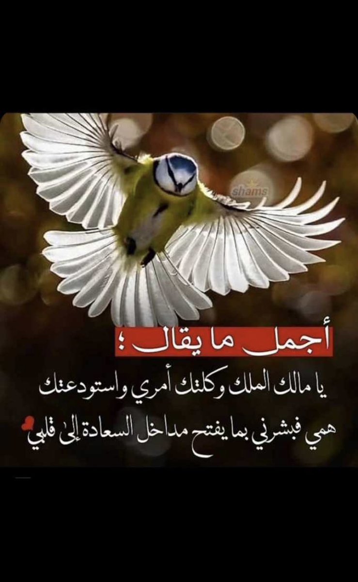 صبحكم الله بالخير