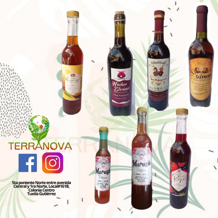 LibaRialf's tweet photo. #LibaRialf en #TerraNova #tuxtlagutierrez https://t.co/8ccYMcQsLG