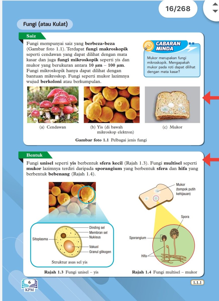 Eduristic Malaysia (@EduristicMY)  Twitter