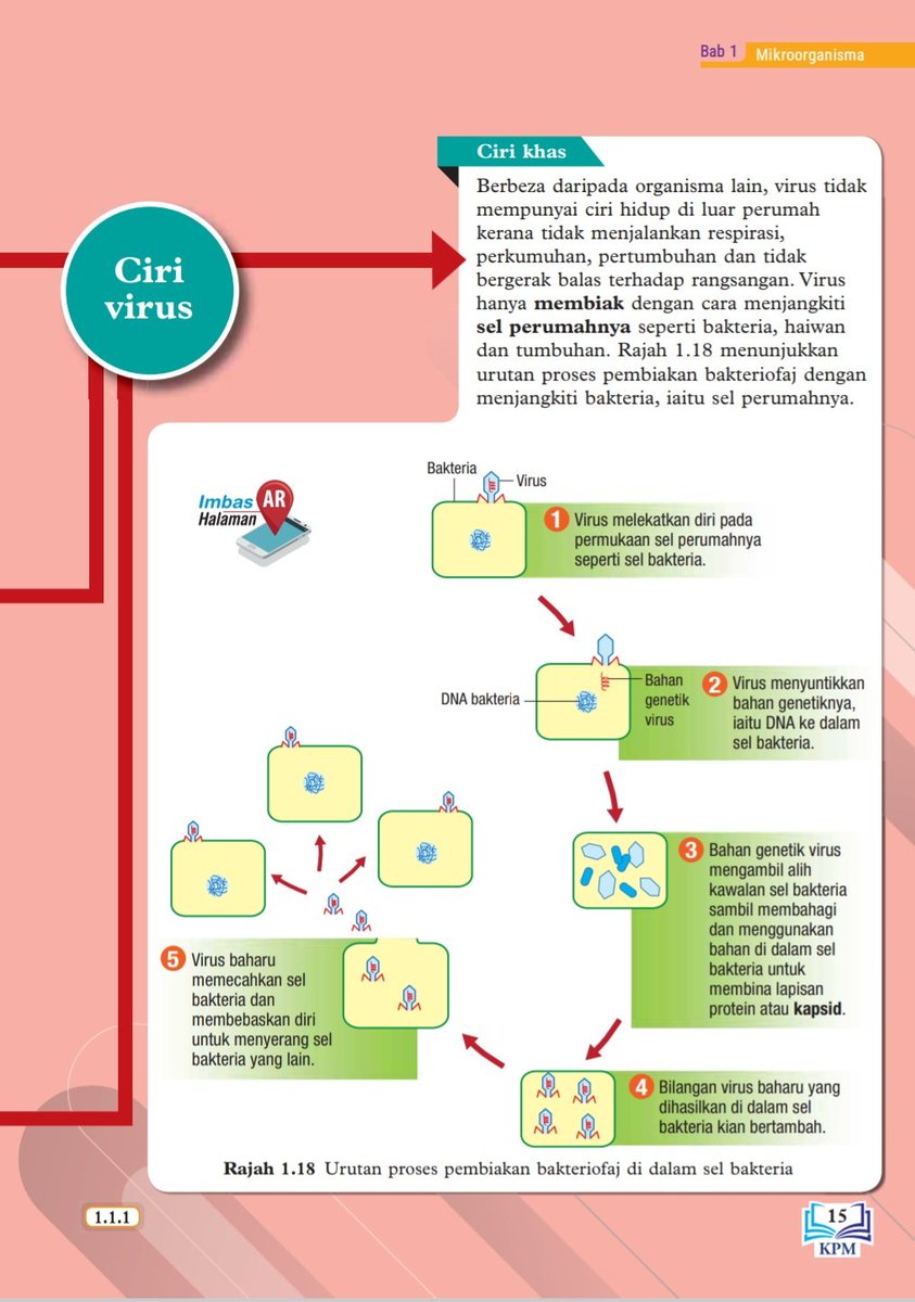 Education Science Messages Proses Hidp Haiwan Haileydanp