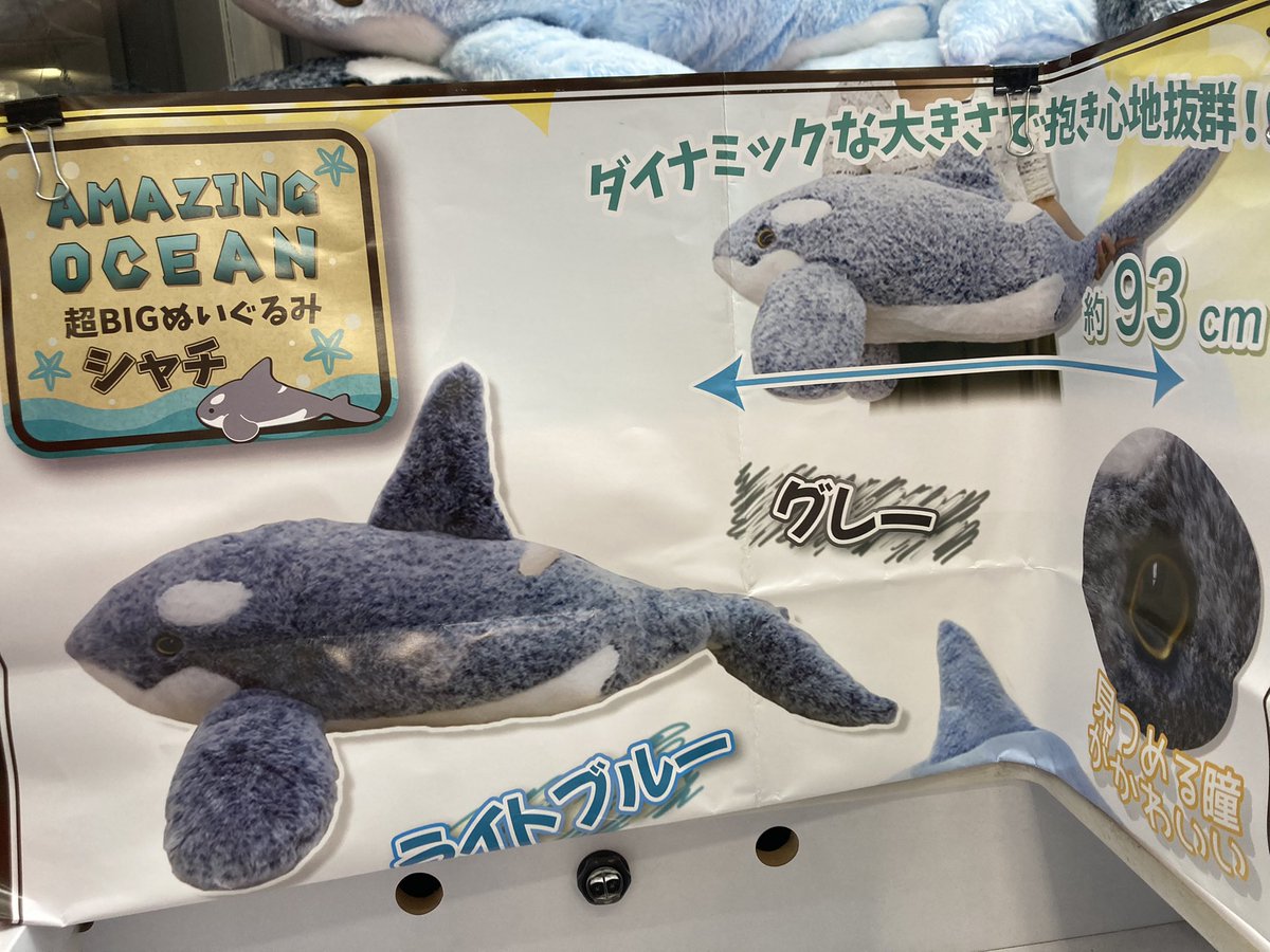 割引価格 Amazing Ocean シャチ 超big ぬいぐるみ ライトブルー グレー オーダー 格安 Aego Co Rs