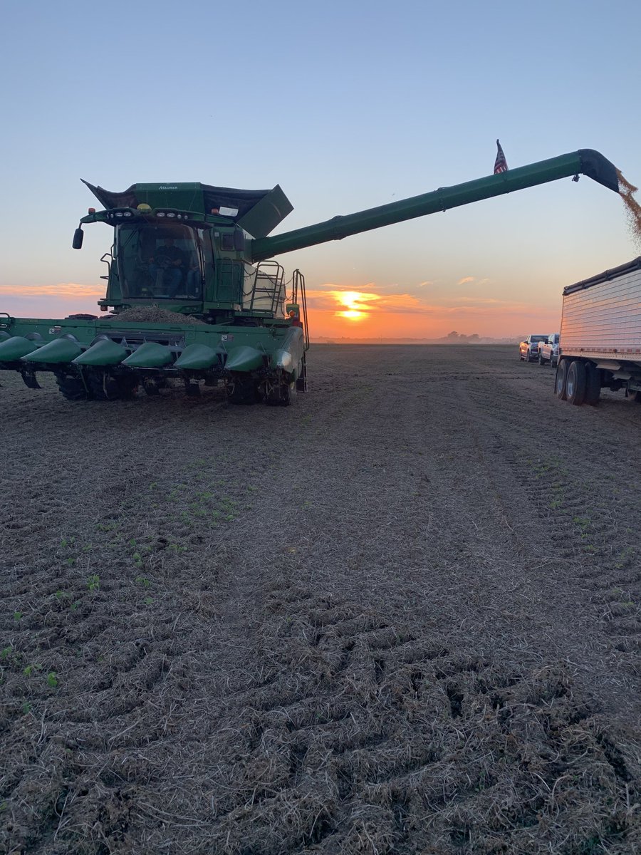 DanBeckman4's tweet photo. Hey ⁦@wachtelfarms⁩ see what happens when your too busy harvesting ⁦@DKAS_SIL⁩ trials and someone else attempts a harvest sunset…darn rookies anyway😜 https://t.co/71a5uaVp6X
