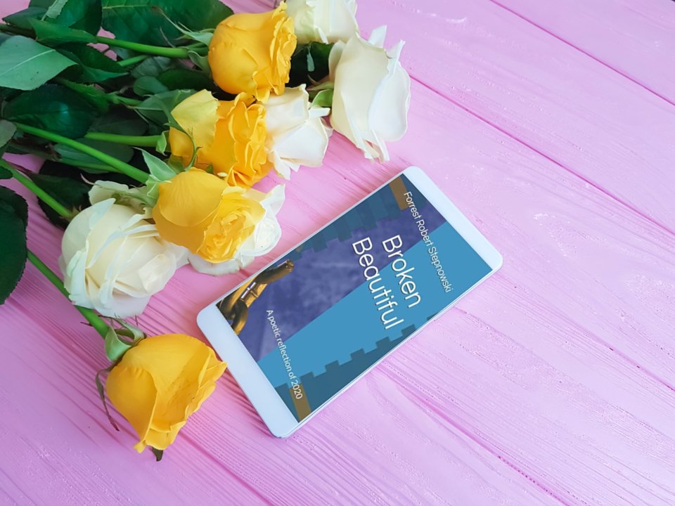 Book Promotion tweet media