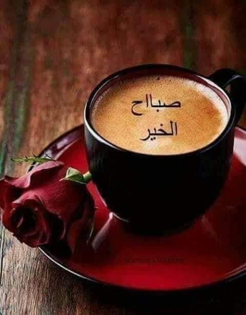 anah0r_4's tweet photo. @Ret9Reta9 @SameerHasona @ZAljanah @elshater_Aly @om_basma_M @aday7367 @Lido8080 @hamat_suo @hory_zky @Abir_A_Habba @NabeelAmirah @esslamooo1 @OOONRRR @shackshehata @ommo_omar2 @Elzanatykhalif @Nano821114122 @Ali_hamza_333 @AmalReak @amlaldwt @MariamM71007659 @SlovanQueen @rokaia1074 @robbyhazem @omar_wien @tasneem_ashor صباحك خير وسعاده ورحمه من الله 
اختنا الطيبه وشاعراتنا الكبيره رنا 🌷🌷 https://t.co/BrLKwM7wgp