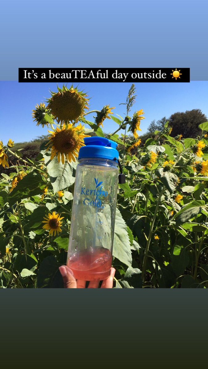 <a href="/EpicHikes/">EpicHikes</a> 🥾 taking the scenic route with some <a href="/KerichoGold/">Kericho Gold</a> Tea: Cold Brew in hand 🍵