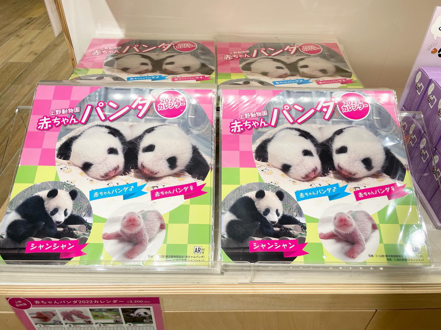 東京動物園協会干支ぬいぐるみ(辰) | www.unimac.az