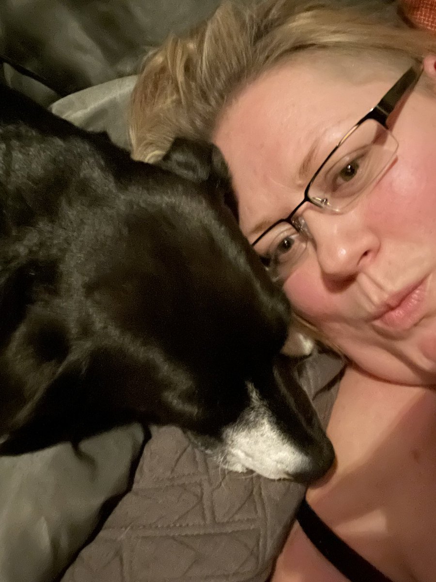 KristaAndrews1's tweet photo. Day 5 &amp; 6 - slowly breaking up the unholy partnership, first the furry quadruped, next the silky biped. https://t.co/jhYWs1O6cU