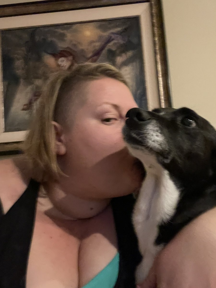 KristaAndrews1's tweet photo. Day 5 &amp; 6 - slowly breaking up the unholy partnership, first the furry quadruped, next the silky biped. https://t.co/jhYWs1O6cU