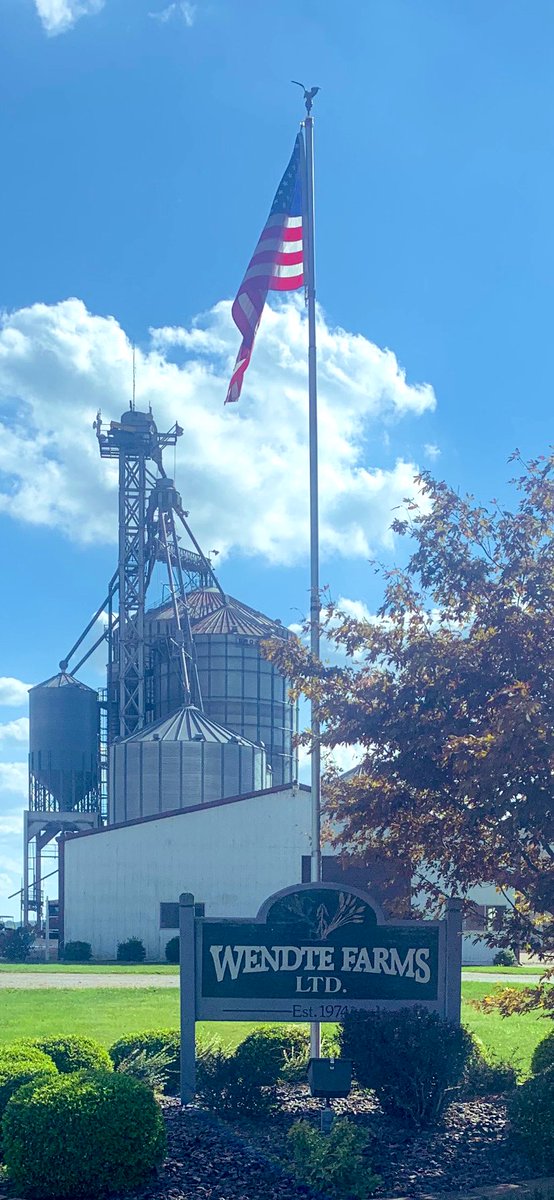 DanBeckman4's tweet photo. What a beautiful day for the Fabulous Freshman DKC62-70RIB to flex some serious yield muscle and show off that golden grain #Bayer4IL @DKAS_SIL https://t.co/OiNu3XaxhH