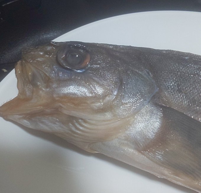 画像漁ってたらホッケ出てきた、なんでこんなの撮ったのだろうか 