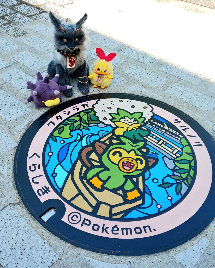 天ちゃん 銀ちゃん うにまると一緒に倉敷美観地区の3つのポケモン マンホール ポケふた を見に行ったよ 感激だった これで 岡山のポケふた制覇なり テリトルドール ポケふた ポケモン ツイレポ