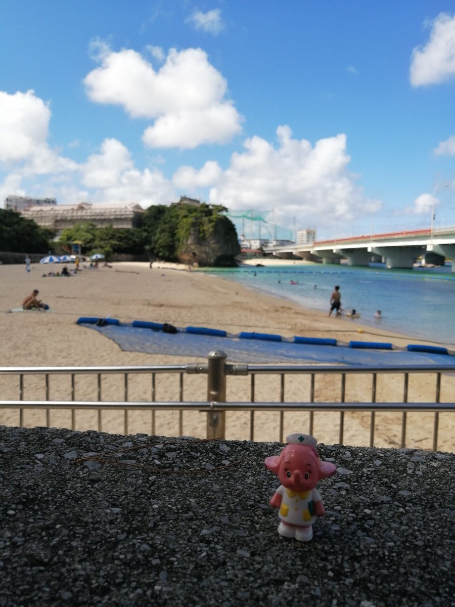 5567abc's tweet photo. 🧚…今!!…🏊🏄…?! https://t.co/f63UqaJnap
