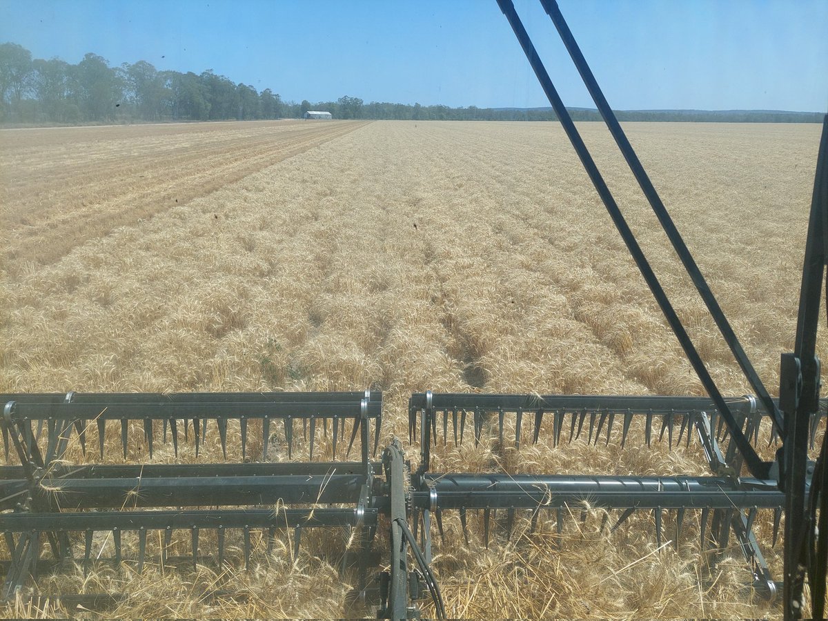 Chris Hutchinson (@hutchag1211) on Twitter photo 