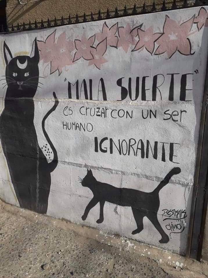 FundacionToby's tweet photo. Sicierto, buenas noches amigos! 🧡🌛🌠 https://t.co/xRKa4XgprW