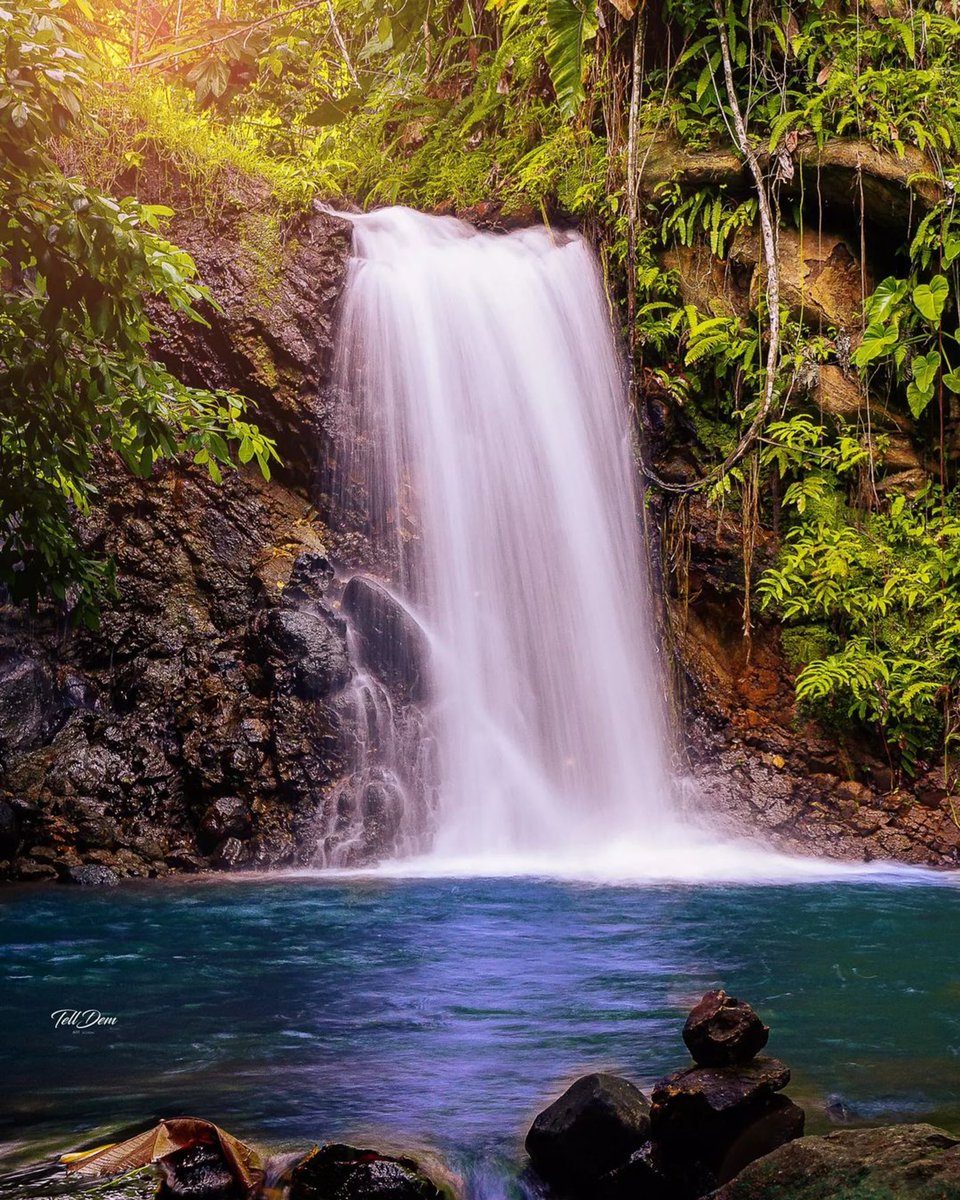 fwi_addict's tweet photo. Aujourd’hui j’ai vu de magnifiques posts sur insta #inspirant #motivation #mood #Martinique #Guadeloupe #SaintBarth #SaintMartin #Mariegalante

Aller voir ma story et surtout donnez la force au créateurs qui nous régalent… https://t.co/A3CCGzktxe
