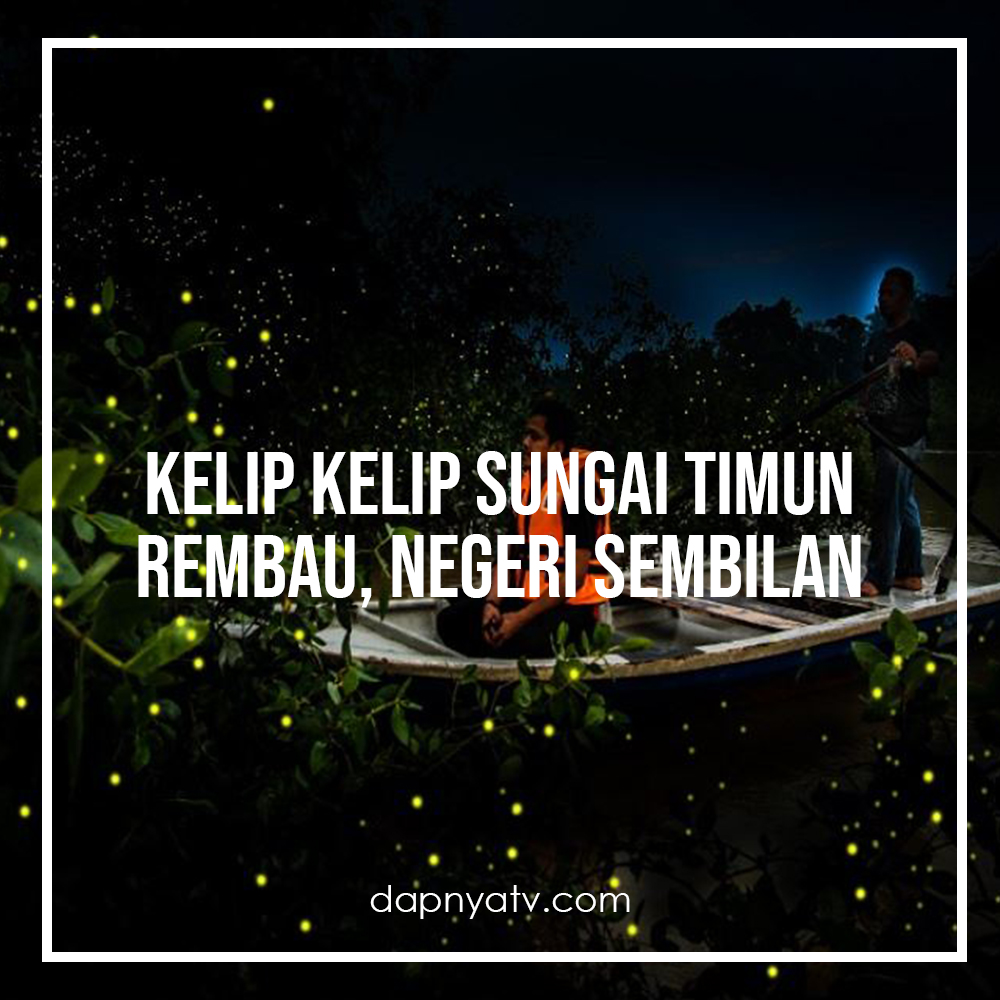 dapnyatv's tweet photo. 3. Kelap kelip Kampung Dew, Taiping, Perak
4. Kelap kelip Sungai Timun, Rembau, Negeri Sembilan
5. Kelap kelip Sungai Nanamun, Kota Belud, Sabah https://t.co/LEITRWw8Eo
