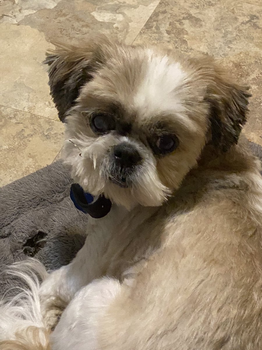 Kenny Lewis tweet media