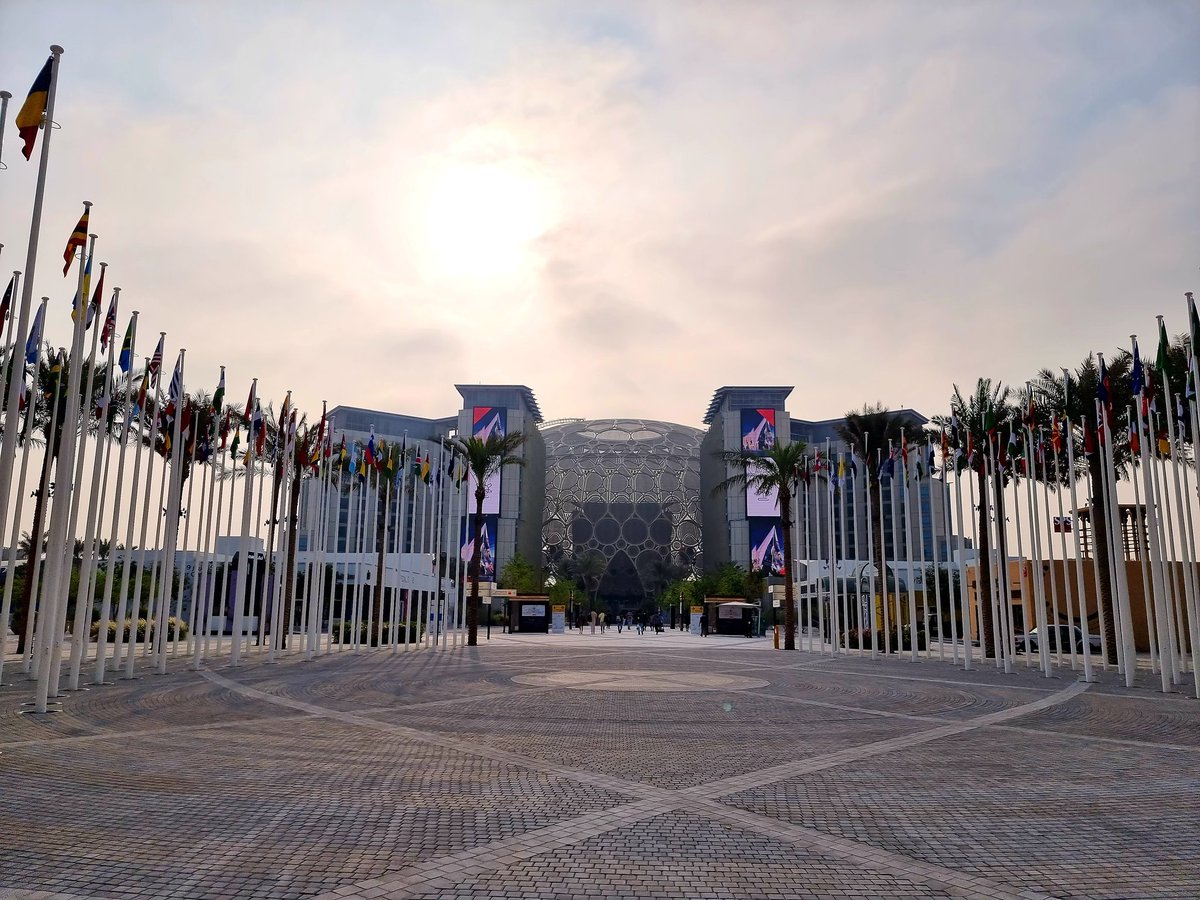 pd1139's tweet image. صباح الخير والسعادة 
#اكسبو_٢٠٢٠ 
#ExposePfizer