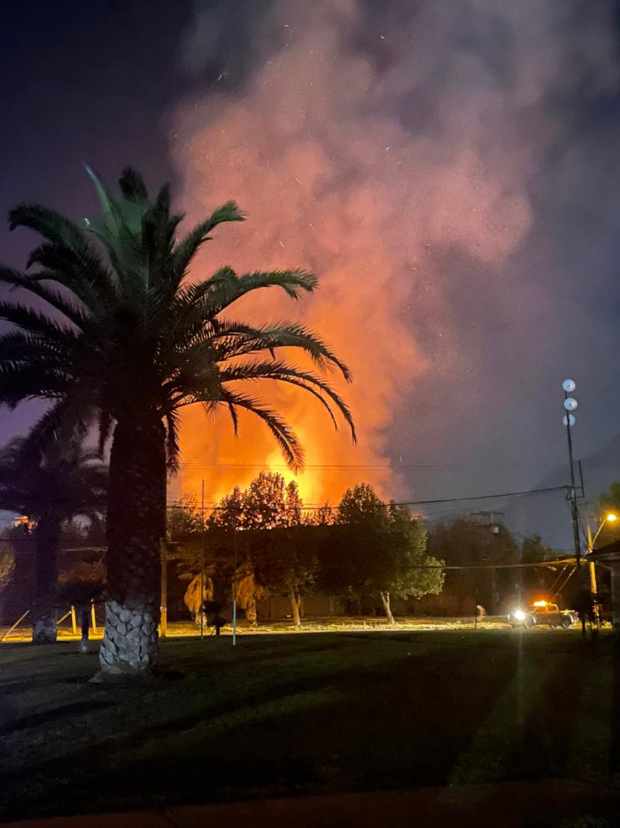 Nico Lavandero tweet media