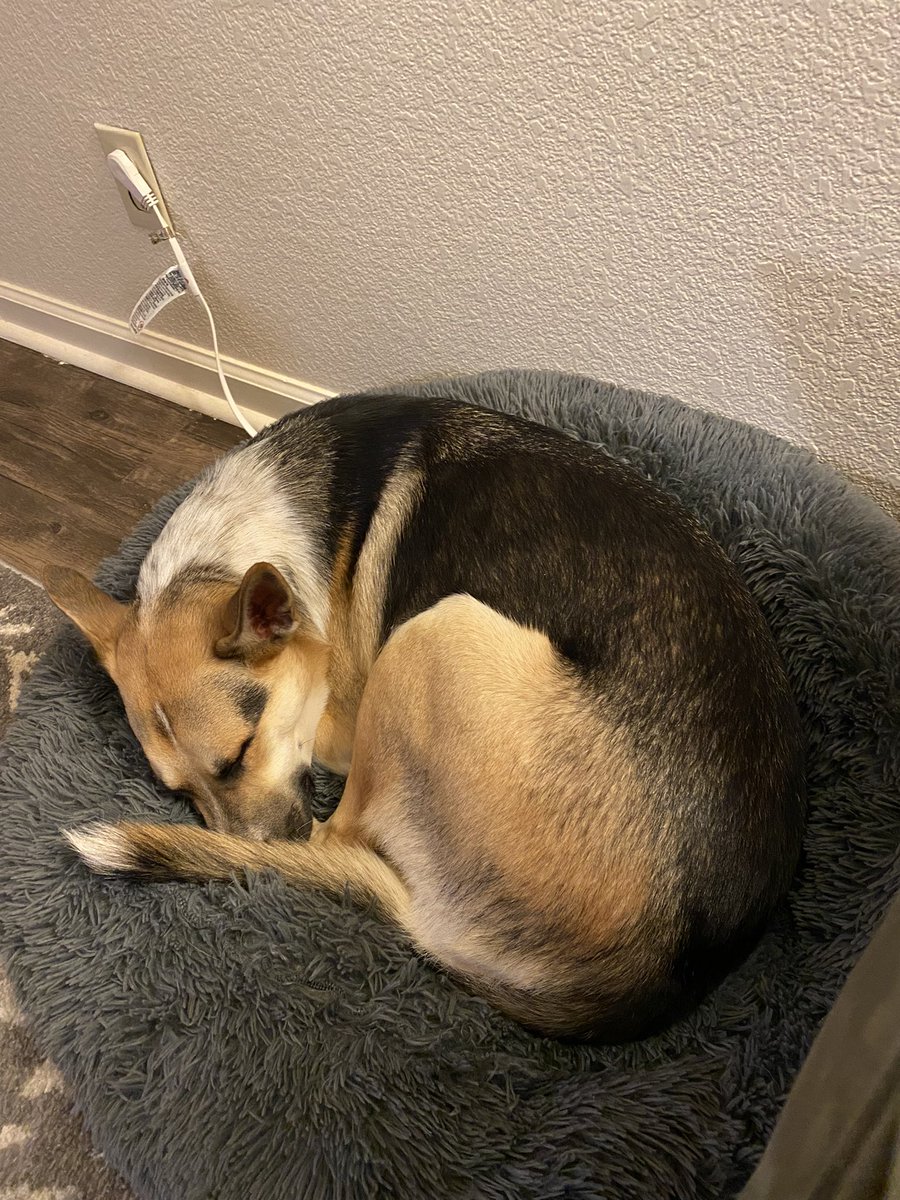 disnerdluvsbsb's tweet photo. My little donut🍩 https://t.co/cSIPAN1A2z