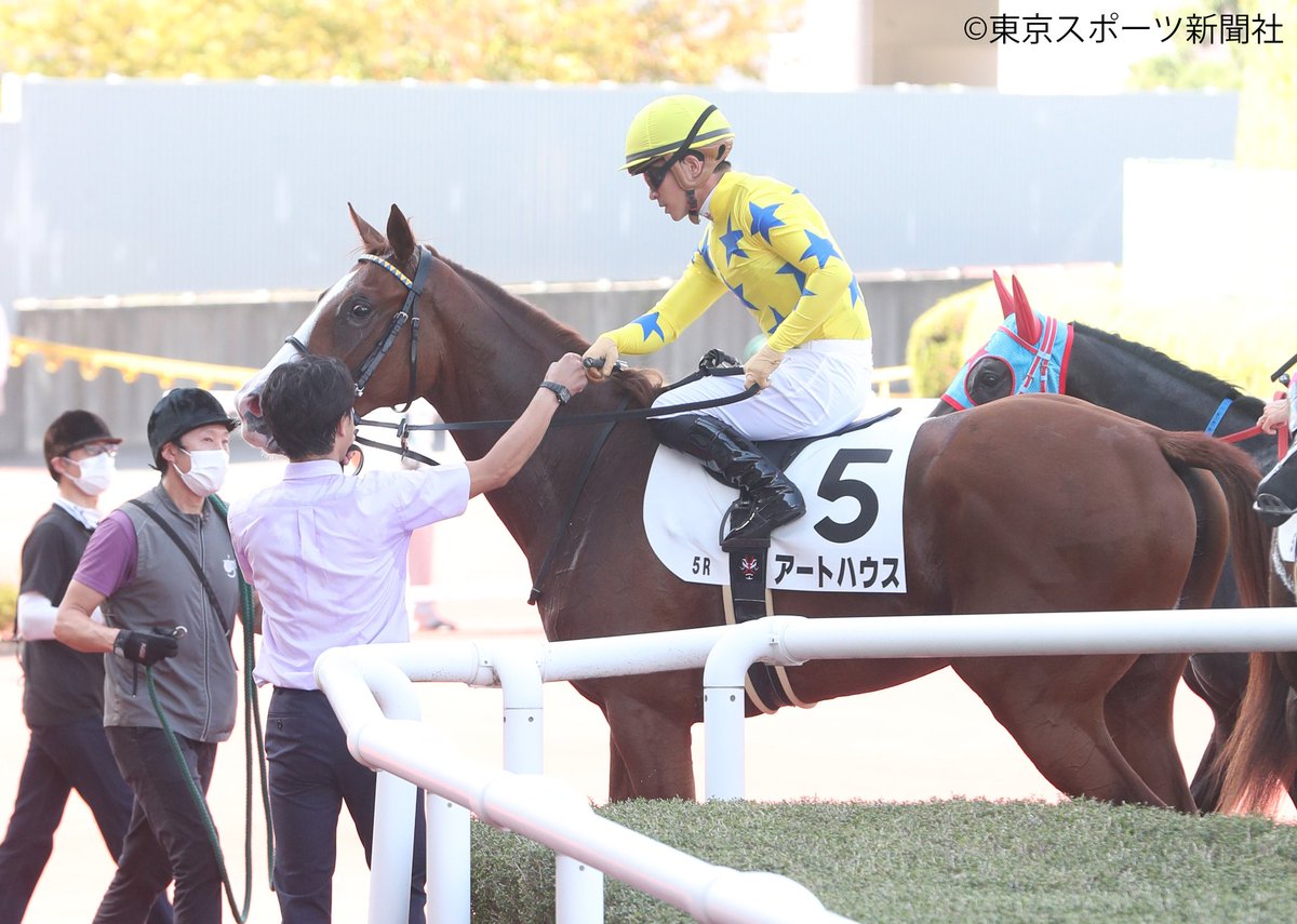 東スポ競馬 阪神5rの新馬戦を快勝した アートハウス Amp 川田将雅騎手 東スポ競馬 競馬 Pog T Co Opredoumrf Twitter