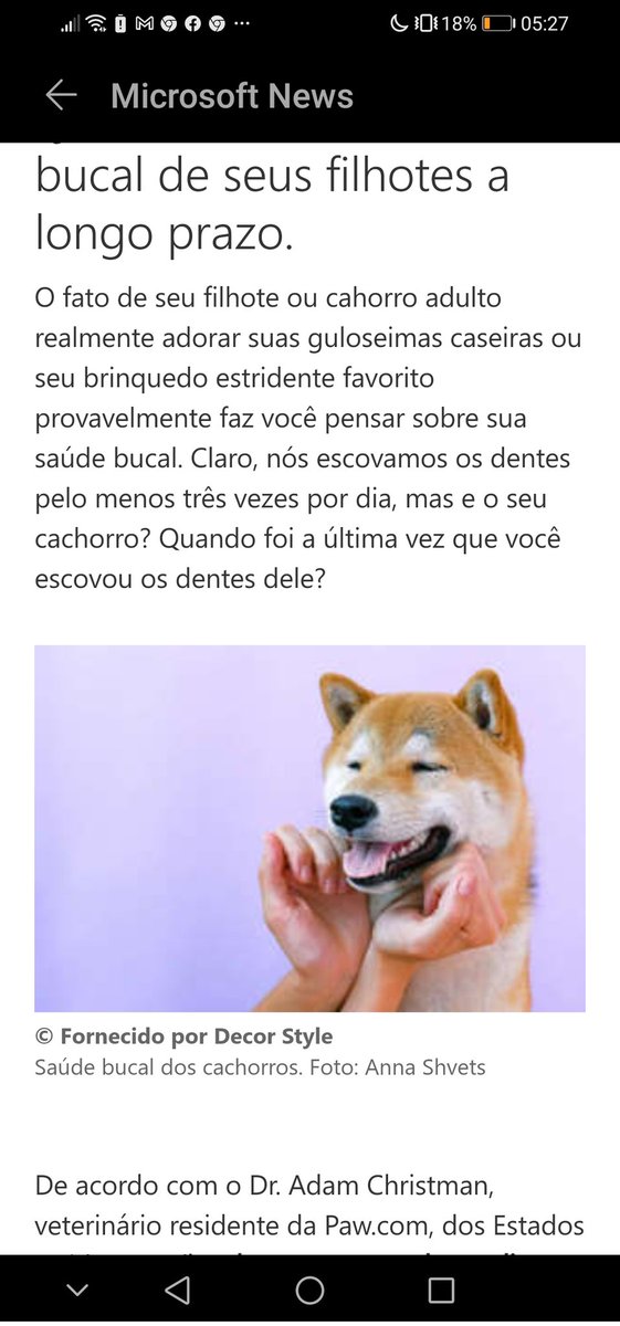 CoelhoDedos's tweet photo. All websites thinking in the same image 🚀🚀🚀🚀🚀#SHIBARMY #shibainucoin #SHIB #shibainu 
@ShibaInuHodler https://t.co/bCGUefqGyJ