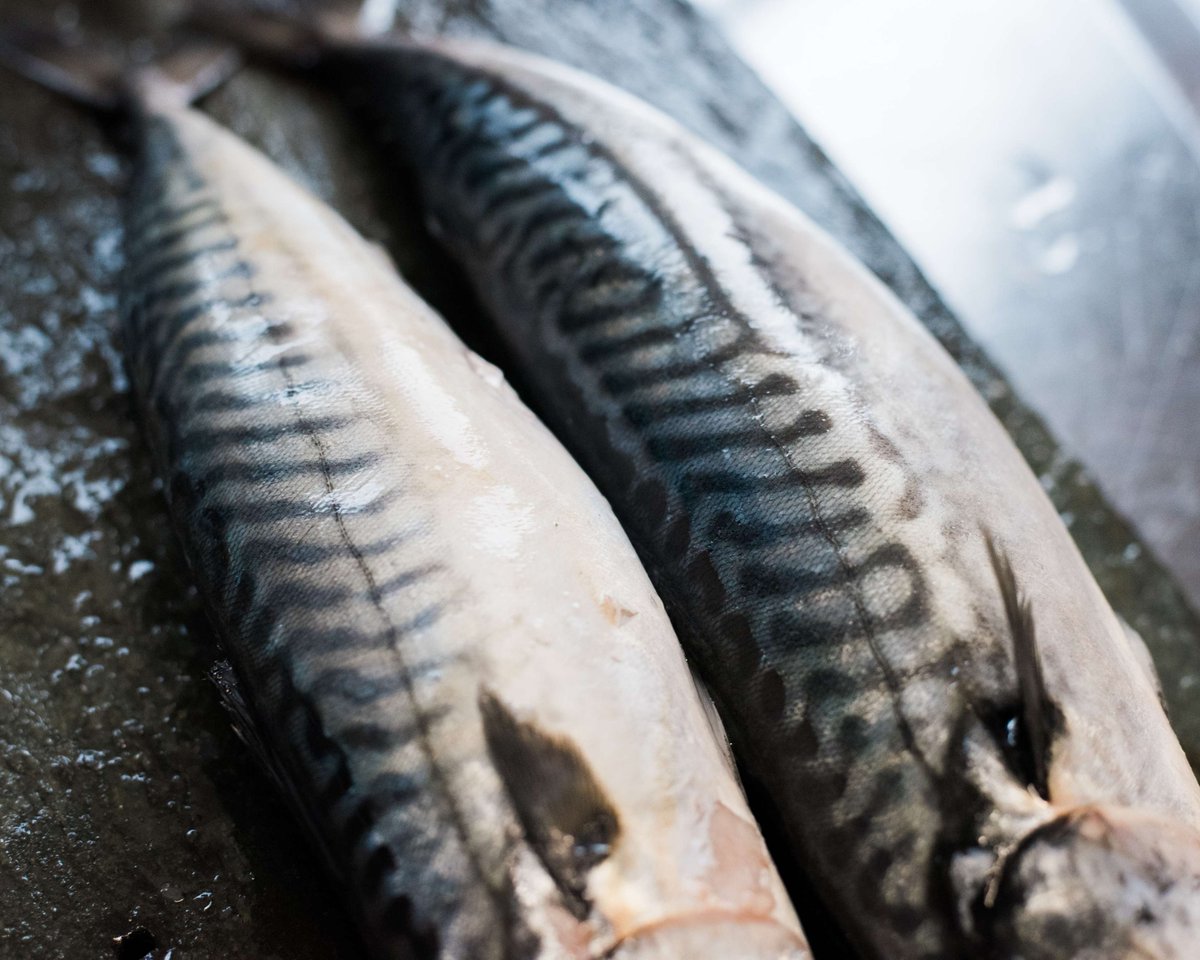LazirLaz's tweet photo. National Seafood Week is a great opportunity to for sharing some health benefits of eating seafood. According to the NHS, most of us should be eating more fish, as it can help to improve heart health. What’s your favourite type of seafood? 

#seafoodweek https://t.co/lkVdsOknAn