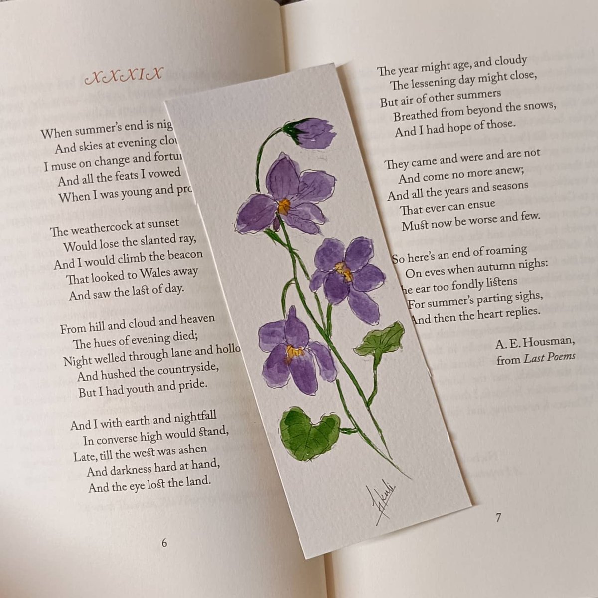 tikulli's tweet photo. Day 9 of #floralinktober2021 #SweetViolets . Beautiful woodland flowers, a nectar source for butterflies. Delicately Fragrant. #bookmarks available. DM to purchase. RT for visibility. #ArtistsOnTwitter #BookTwitter #ArtTwitter #handpainted #art #buyart #giftideas #ArtistOnTwitter https://t.co/8Ig1nYqK1q