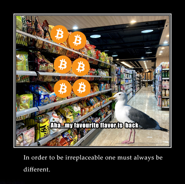 Web3Seagull's tweet photo. #Bitcoin gonna fly high, bitcoin never tells the lie!!!! #todamoon https://t.co/0F7DlUAiSd