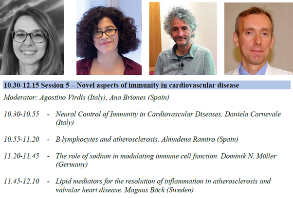 EccrOrg's tweet photo. Do not miss the morning session in  Immunity and CVD at the #ECCR2021 with Almudena Ramito @aramiro_ramiro, Daniela Carnevale @danicarne1981, Domink Müller and Magnus Bäck @ehjopen. https://t.co/XJXkpK4Cf3