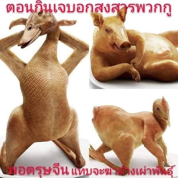 เรียกผมว่าเนสยัด tweet media
