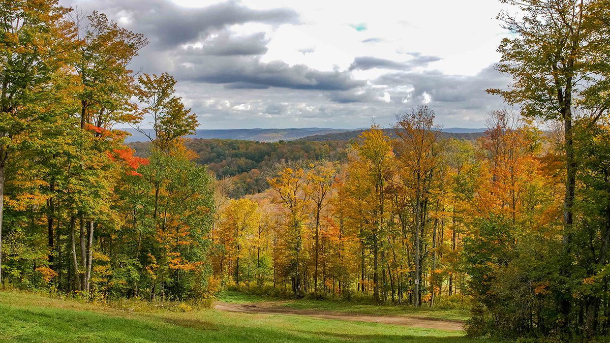 holidayvalley's tweet photo. ππ The views around Ellicottville are fantastic right now. If you're heading here for #FallFest2021, you're in for a visual treat! https://t.co/owUpLEDLzQ