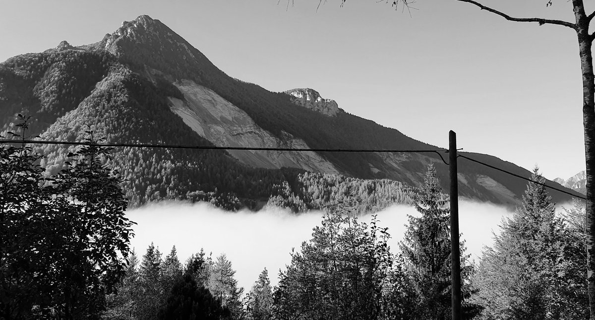 Mauro Corona _ profilo ufficiale tweet media