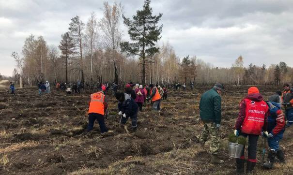 afanasev's tweet image. Помните, недавно все кричали про пожары у нас?
Сразу все блогеры стали самыми экспертными экологами и борцами за права леса. Сейчас на пострадавших от пожаров территориях высадили огромные объемы лесного фонда по акции «Сохраним лес вместе», но тут блогеры молчат, ведь хайпа нет.